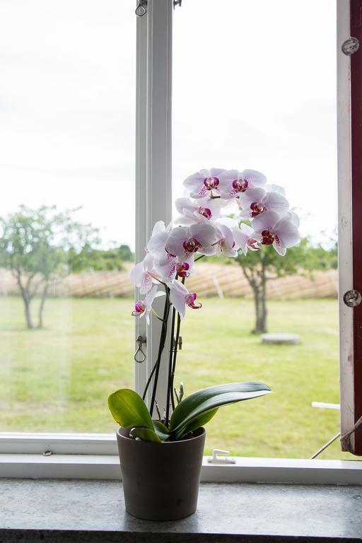 Farogarden Bed & Breakfast Esterno foto